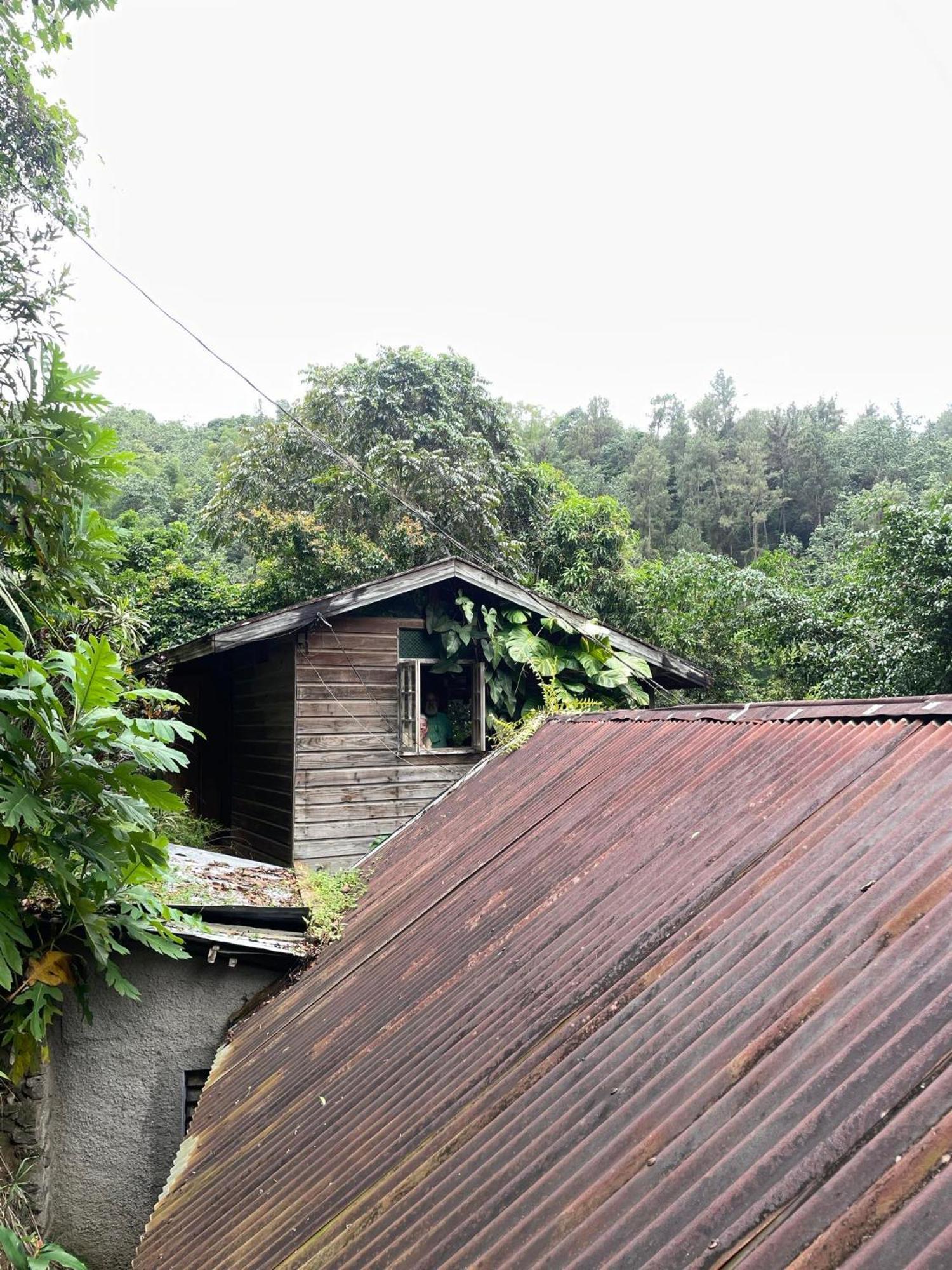Dustry Cottages Kingston Bagian luar foto